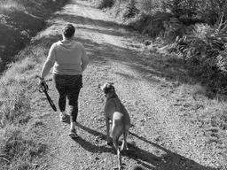 Perfect Match_Hundetraining_Rösrath_Fussübung auf einem Waldweg