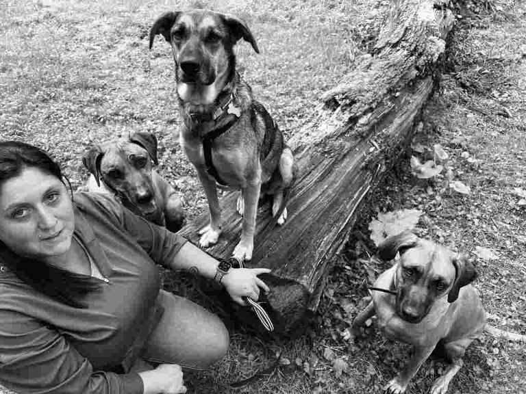 Teamfoto von Perfect Match_Hundetraining_Hundetrainerin Katrin und ihre Hunde Barney, Emmy und Jordy sind auf dem Foto zu sehen. Alle schauen nach oben in die Kamera