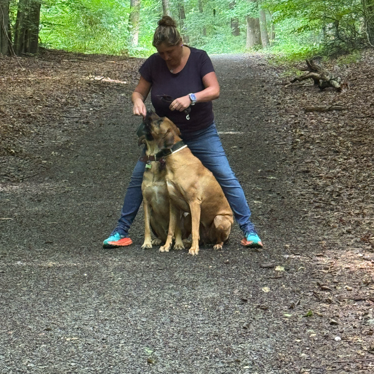 Katrin und Ridgeback Hündin im Training